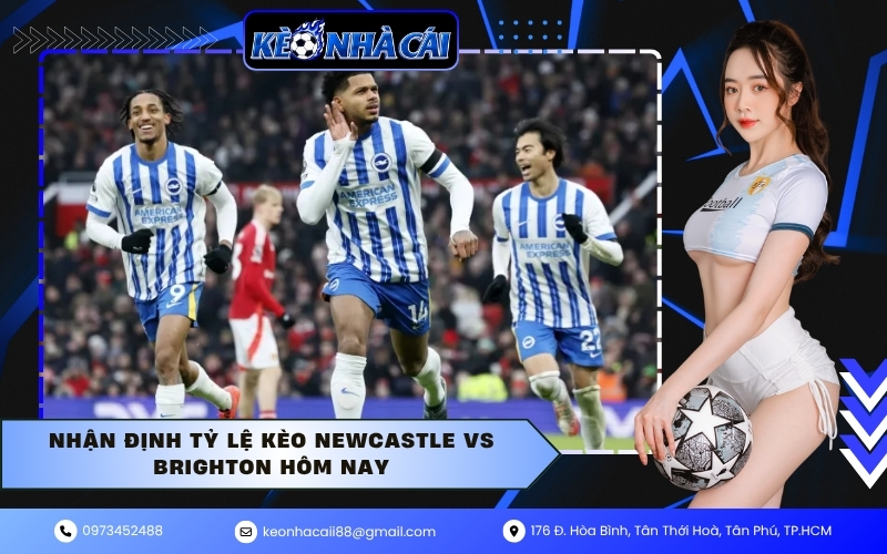 Nhận định tỷ lệ kèo Newcastle vs Brighton hôm nay