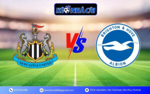 Soi Kèo Newcastle United vs Brighton & Hove Albion